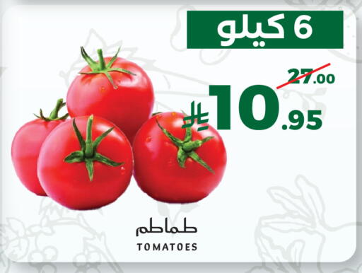 Tomato available at ميرا مارت مول in مملكة العربية السعودية, السعودية, سعودية - جدة
