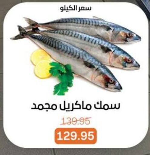 available at Beit El Gomla in Egypt - Cairo