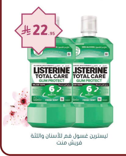 Mint available at  النهدي in مملكة العربية السعودية, السعودية, سعودية - الخرج