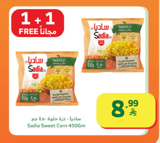 available at Al Raya in KSA, Saudi Arabia, Saudi - Al Bahah