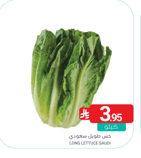 Lettuce from Saudi Arabia available at Muntazah Markets in KSA, Saudi Arabia, Saudi - Qatif
