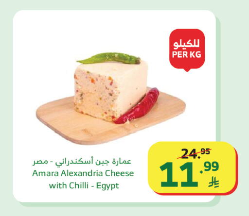 Chilli available at الراية in مملكة العربية السعودية, السعودية, سعودية - تبوك