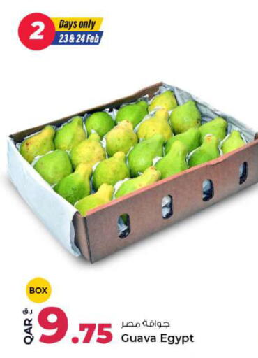 Guava from Egypt available at روابي هايبرماركت in قطر - الدوحة
