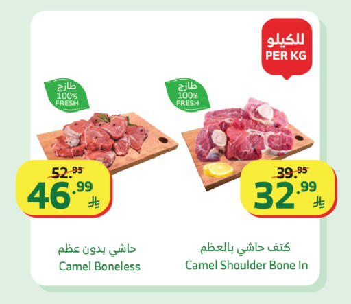 available at Al Raya in KSA, Saudi Arabia, Saudi - Yanbu