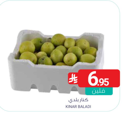 available at Muntazah Markets in KSA, Saudi Arabia, Saudi - Qatif