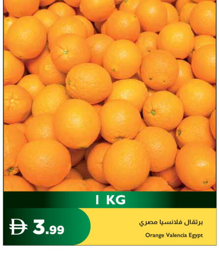 Orange from Egypt available at إسطنبول سوبرماركت in الإمارات العربية المتحدة , الامارات - ٱلْعَيْن‎