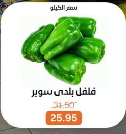 available at Beit El Gomla in Egypt - Cairo