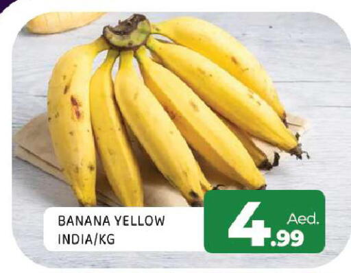 Banana from India available at Al Madina  in UAE - Sharjah / Ajman