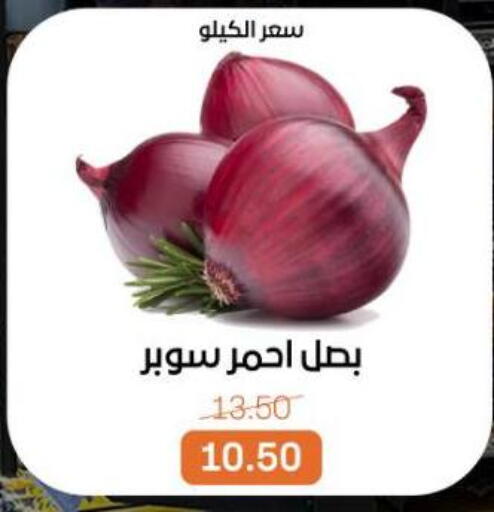 available at Beit El Gomla in Egypt - Cairo