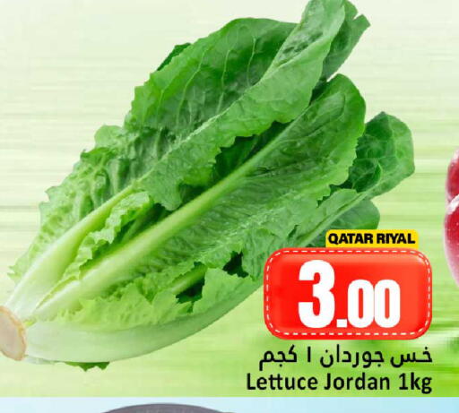 Lettuce from Qatar Jordan available at دانة هايبرماركت in قطر - الضعاين