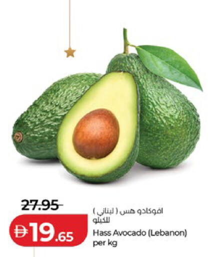 Avocado from Lebanon available at Lulu Hypermarket in UAE - Al Ain