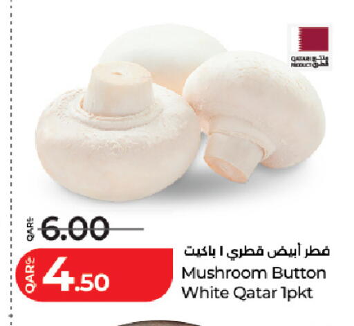 Mushroom from Qatar available at LuLu Hypermarket in Qatar - Al Daayen