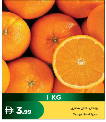 Orange from Egypt available at إسطنبول سوبرماركت in الإمارات العربية المتحدة , الامارات - ٱلْعَيْن‎