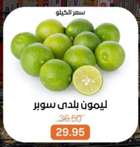 available at Beit El Gomla in Egypt - Cairo