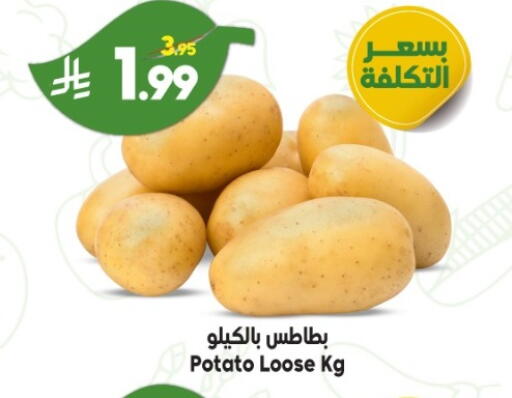 Potato available at الدكان in مملكة العربية السعودية, السعودية, سعودية - الطائف