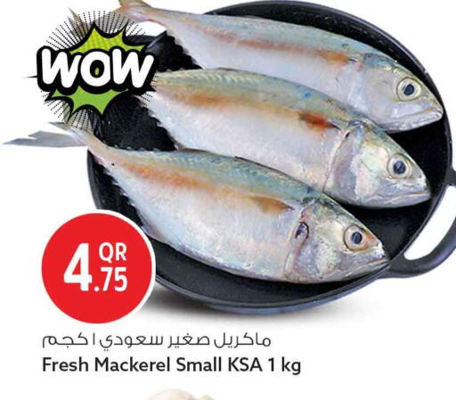 available at Safari Hypermarket in Qatar - Al Daayen