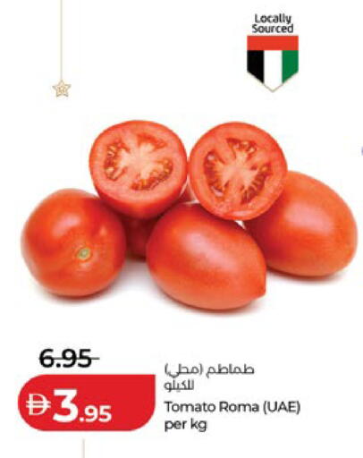 Tomato available at Lulu Hypermarket in UAE - Abu Dhabi