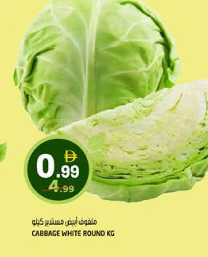 Cabbage available at هاشم هايبرماركت in الإمارات العربية المتحدة , الامارات - الشارقة / عجمان
