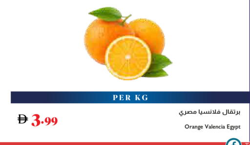 Orange from Egypt available at تروليز سوبرماركت in الإمارات العربية المتحدة , الامارات - الشارقة / عجمان