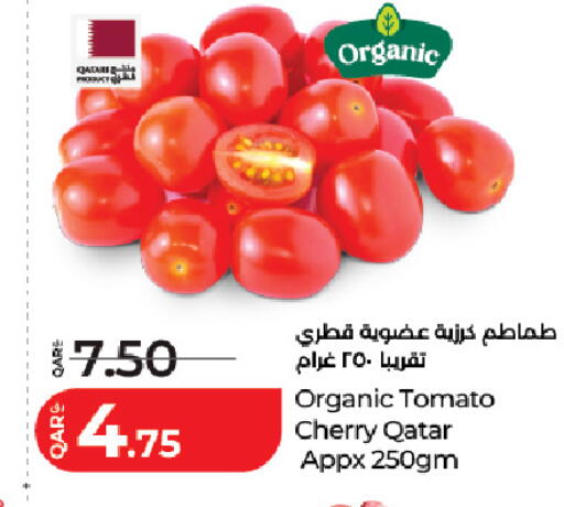 Cherry Tomato from Qatar available at LuLu Hypermarket in Qatar - Al Daayen