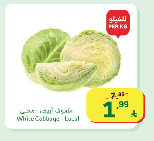 Cabbage available at Al Raya in KSA, Saudi Arabia, Saudi - Al Qunfudhah