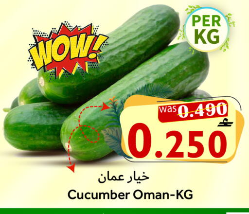Cucumber from Oman available at Al Qoot Hypermarket in Oman - Muscat