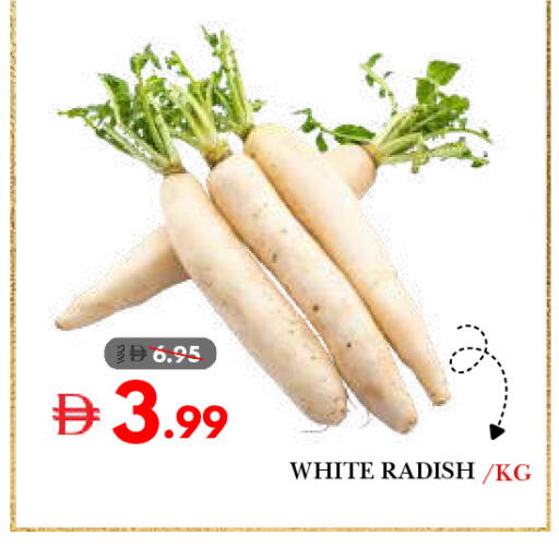 Radish available at DESERT FRESH MARKET  in UAE - Abu Dhabi