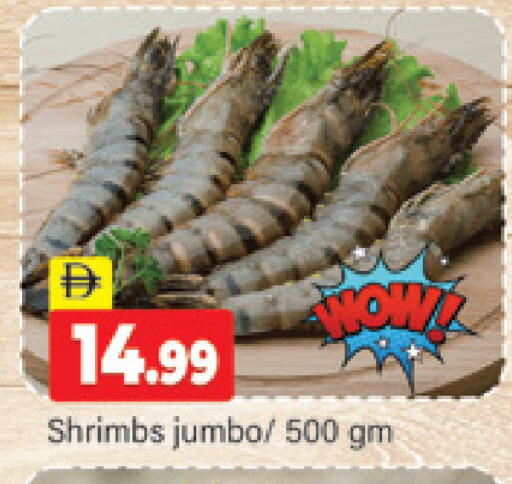 available at المدينة in الإمارات العربية المتحدة , الامارات - دبي