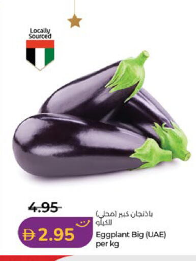 Eggplant available at Lulu Hypermarket in UAE - Abu Dhabi