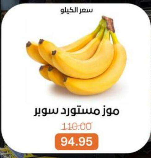 available at بيت الجملة in Egypt - القاهرة