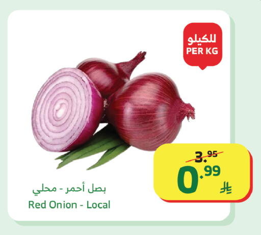 Onion available at Al Raya in KSA, Saudi Arabia, Saudi - Jazan