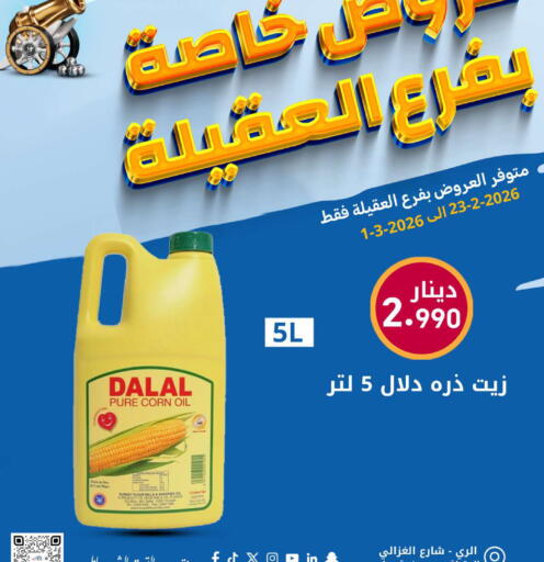 available at شركة سوق ميم المركزي  in الكويت - محافظة الأحمدي