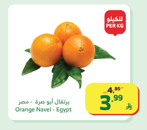 Orange from Egypt available at Al Raya in KSA, Saudi Arabia, Saudi - Najran