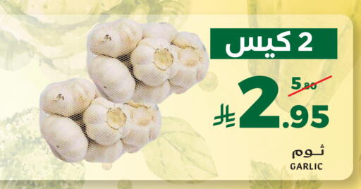 Garlic available at ميرا مارت مول in مملكة العربية السعودية, السعودية, سعودية - جدة