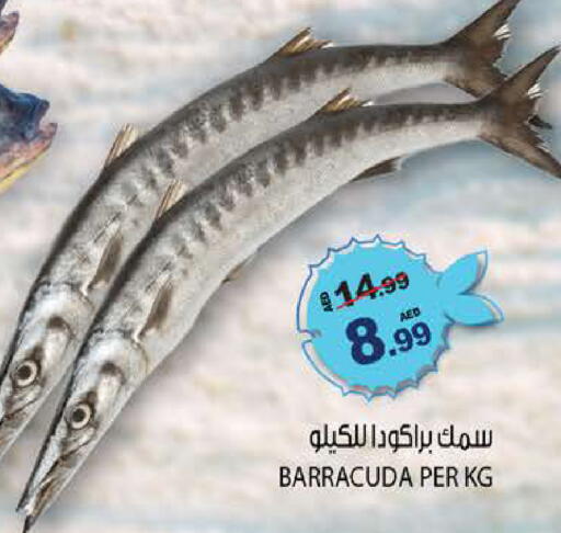 available at هاشم هايبرماركت in الإمارات العربية المتحدة , الامارات - الشارقة / عجمان