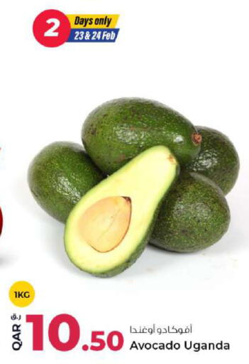 Avocado from Uganda available at روابي هايبرماركت in قطر - الدوحة