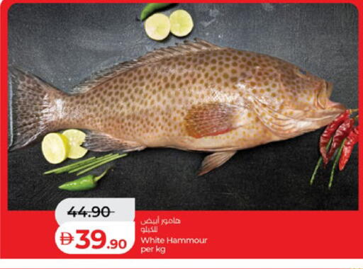 available at Lulu Hypermarket in UAE - Abu Dhabi