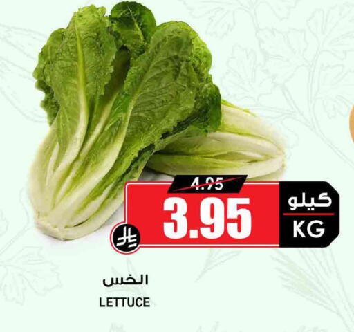Lettuce available at أسواق النخبة in مملكة العربية السعودية, السعودية, سعودية - المجمعة