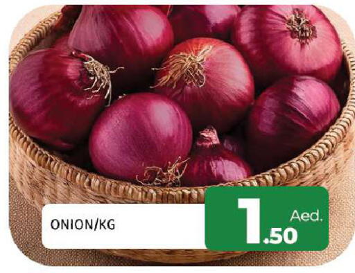Onion available at المدينة in الإمارات العربية المتحدة , الامارات - الشارقة / عجمان