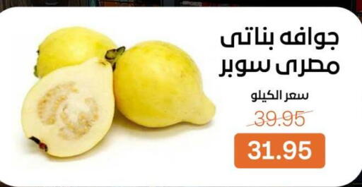 available at Beit El Gomla in Egypt - Cairo