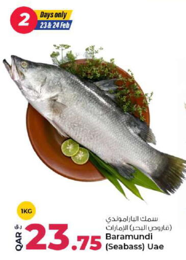 available at روابي هايبرماركت in قطر - الدوحة