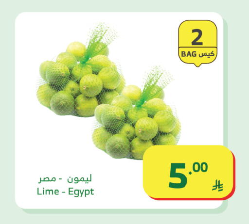 from Egypt available at الراية in مملكة العربية السعودية, السعودية, سعودية - بيشة