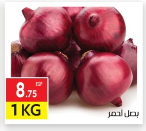 available at المحلاوي ماركت in Egypt - القاهرة