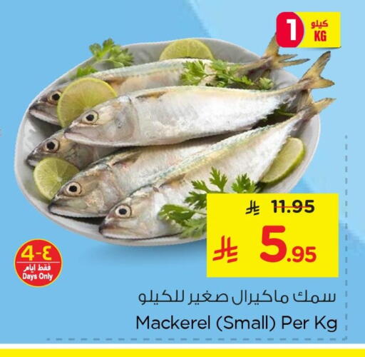 available at نستو in مملكة العربية السعودية, السعودية, سعودية - المنطقة الشرقية