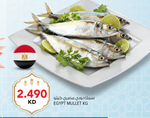 available at  ALNASSER HYPERMARKET in Kuwait - Ahmadi Governorate