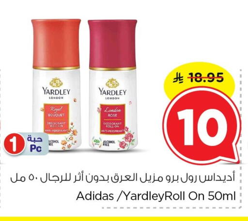 available at نستو in مملكة العربية السعودية, السعودية, سعودية - الخبر‎