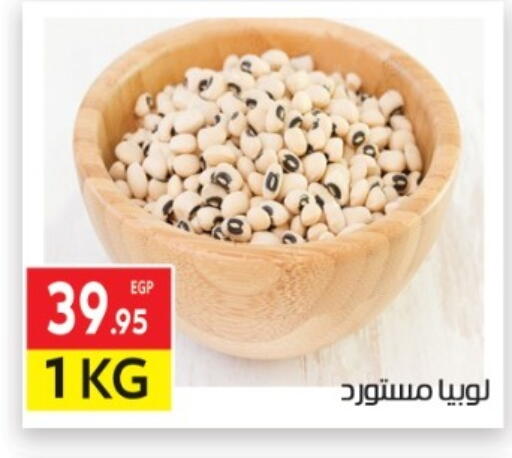 available at المحلاوي ماركت in Egypt - القاهرة