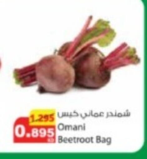 Beetroot from Oman available at Agricultural Food Products Co. in Kuwait - Jahra Governorate