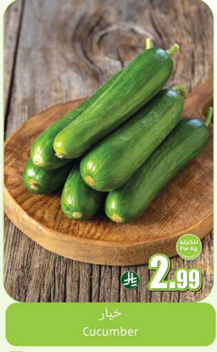 Cucumber available at أسواق عبد الله العثيم in مملكة العربية السعودية, السعودية, سعودية - الخبر‎
