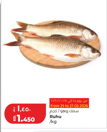 available at Lulu Hypermarket  in Kuwait - Ahmadi Governorate